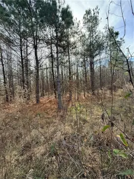 Hunting Land with Creek