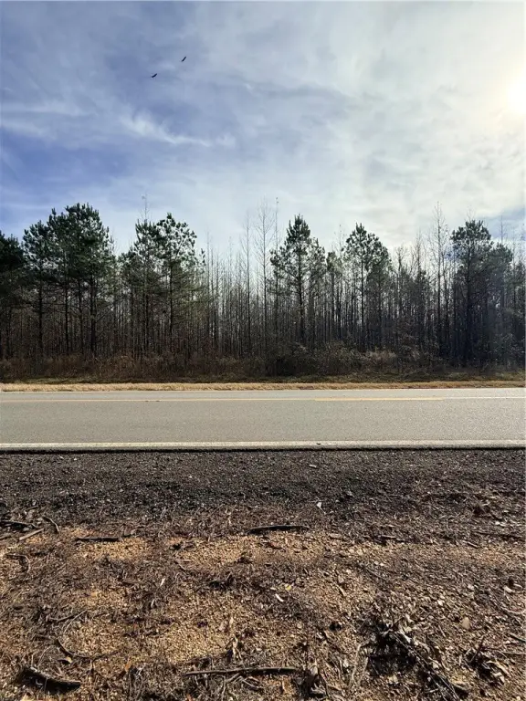 Picture 31