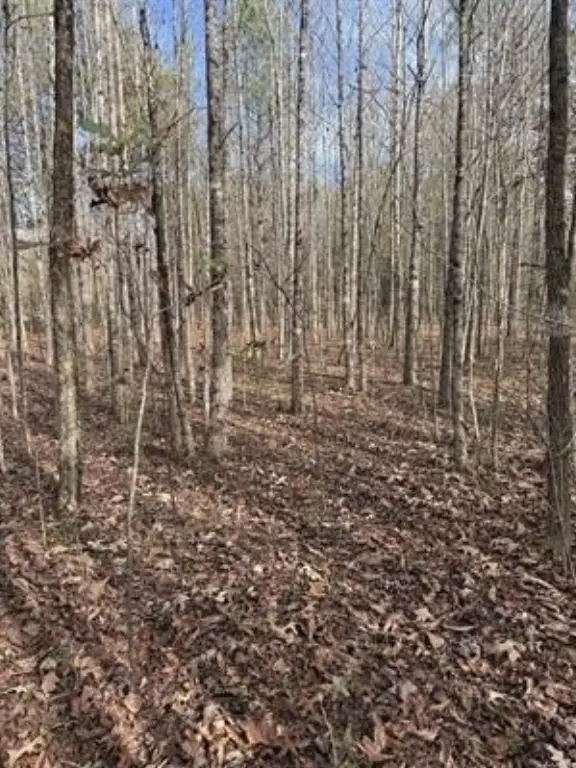 Picture 14