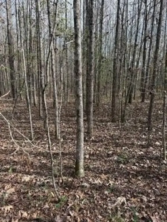 Picture 16
