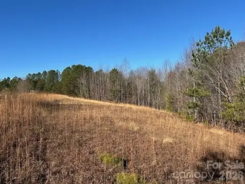 Rutherfordton Land Parcel For Sale