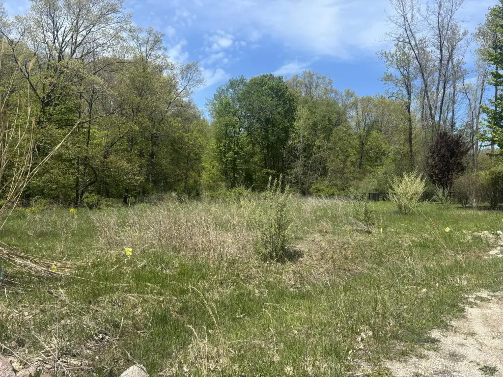 Picture 4