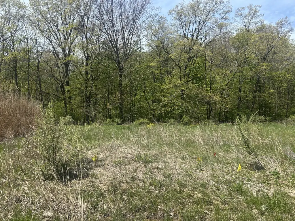 Picture 2