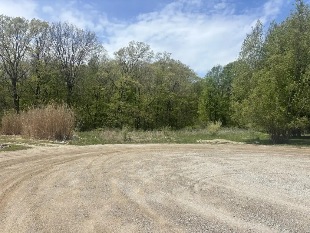 Picture 5