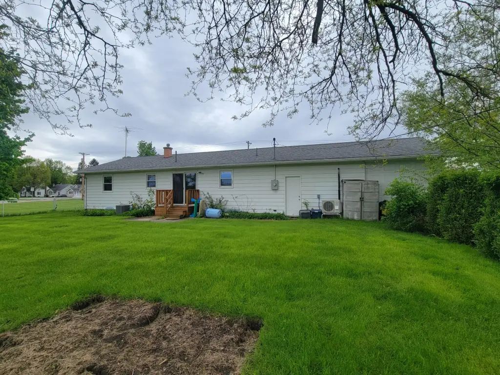 Picture 3