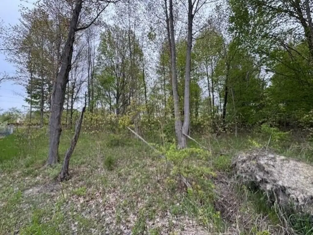 Picture 3