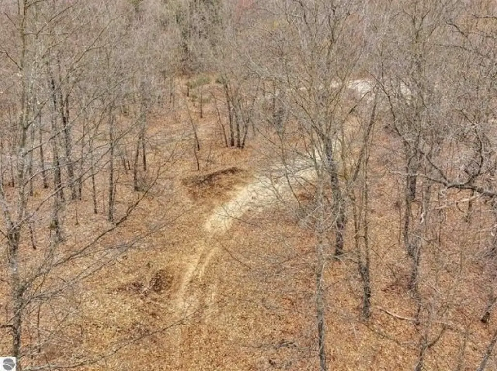 Picture 8