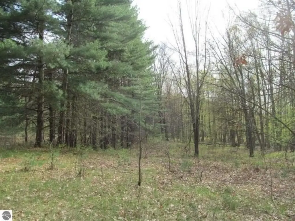 Picture 23