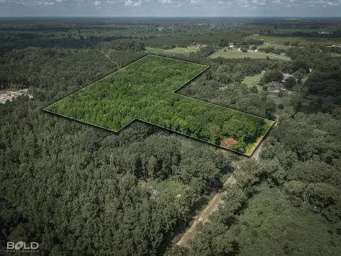 Wooded Land Parcel