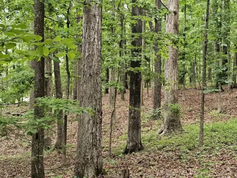 Recreation Land with Interior Trails