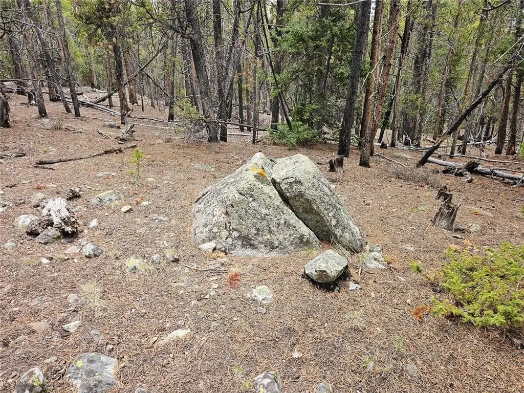 Picture 48