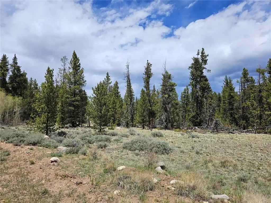 Picture 29