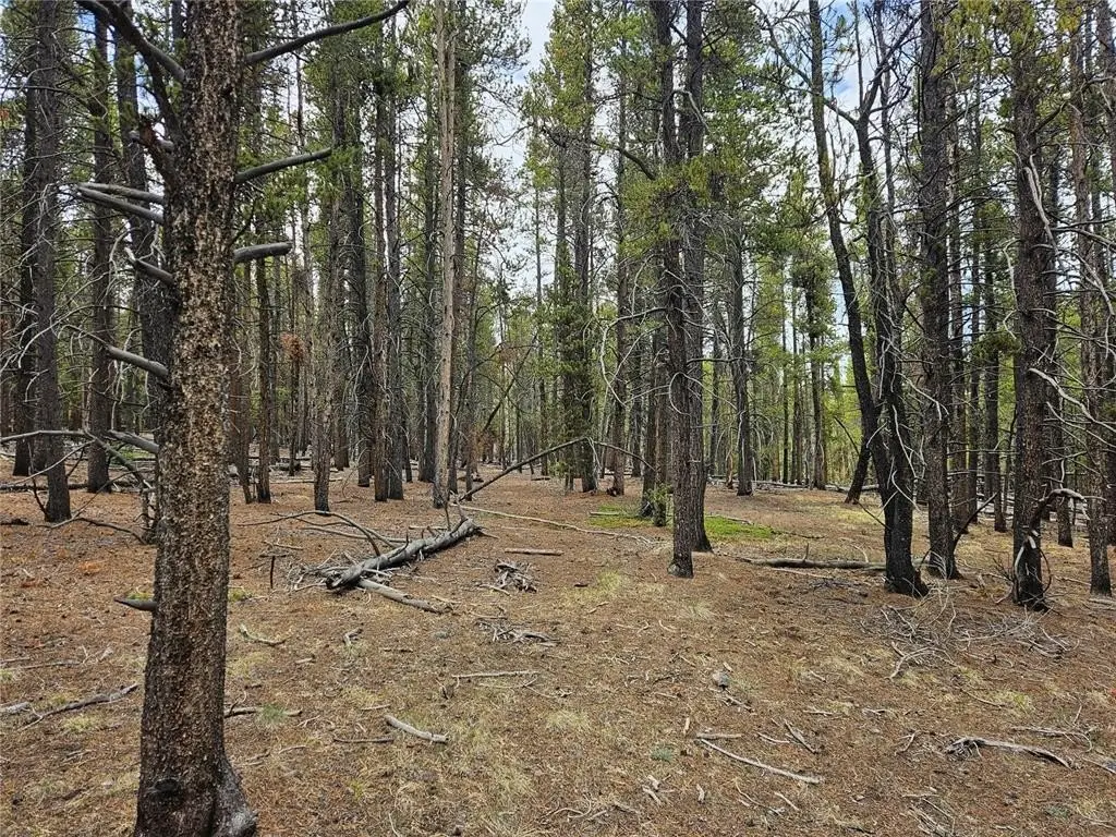 Picture 47