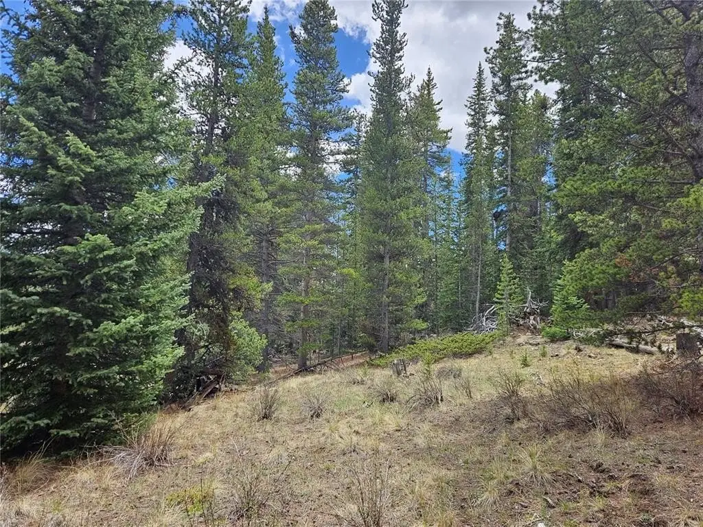 Picture 23