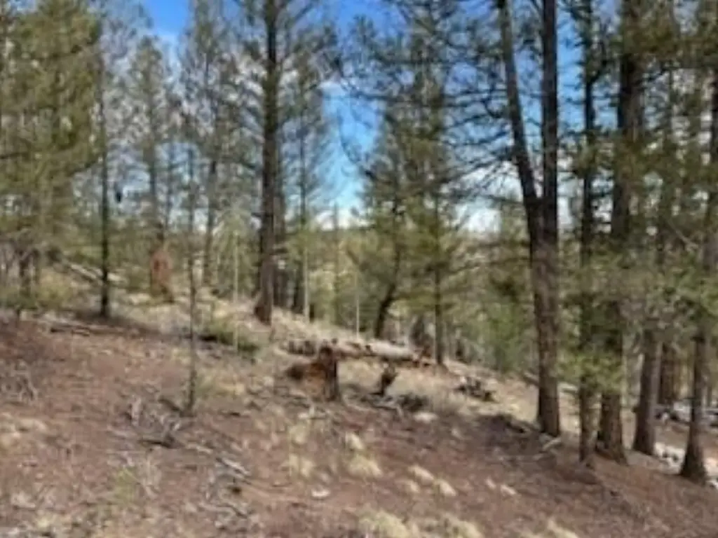Picture 9