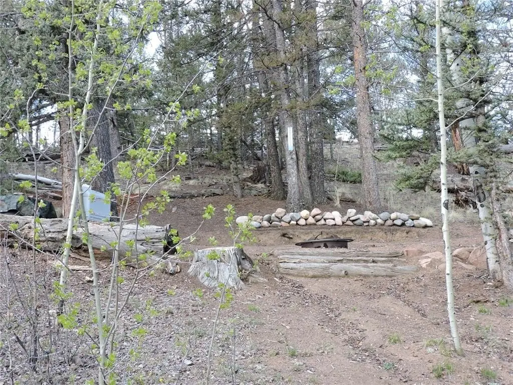 Picture 10