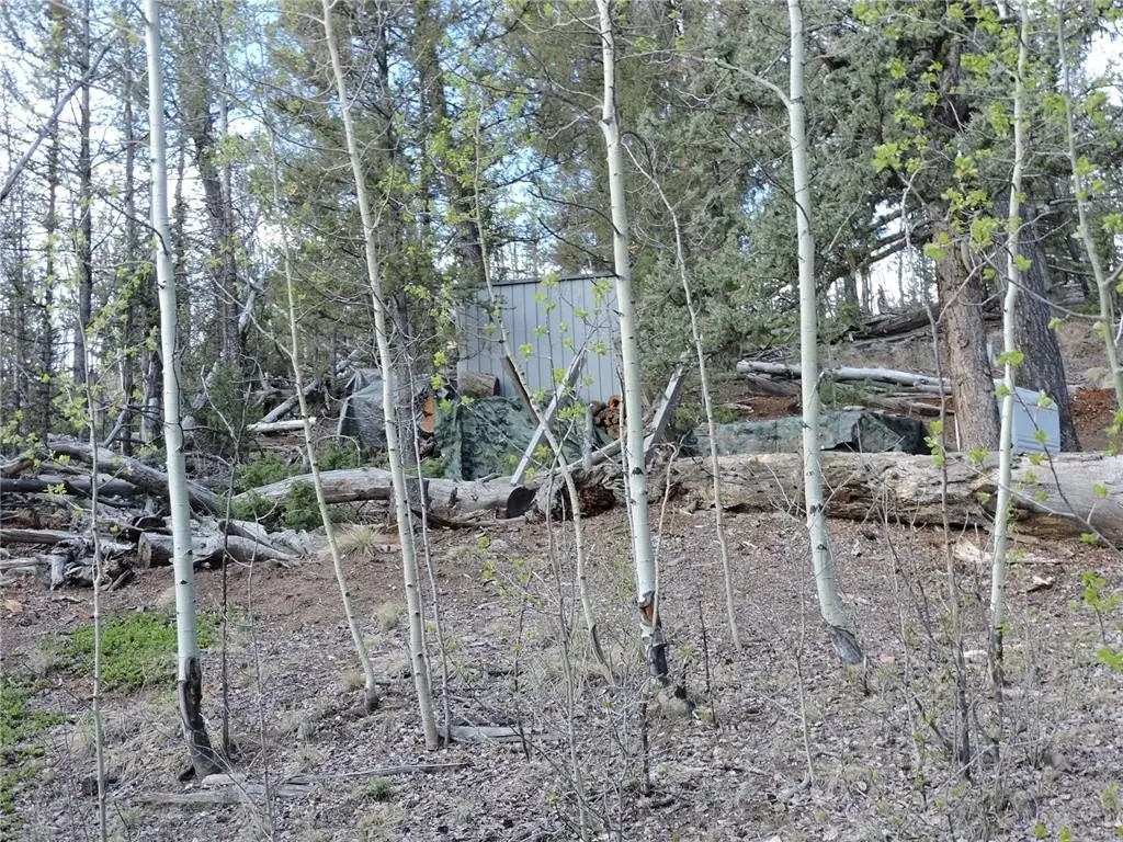Picture 16