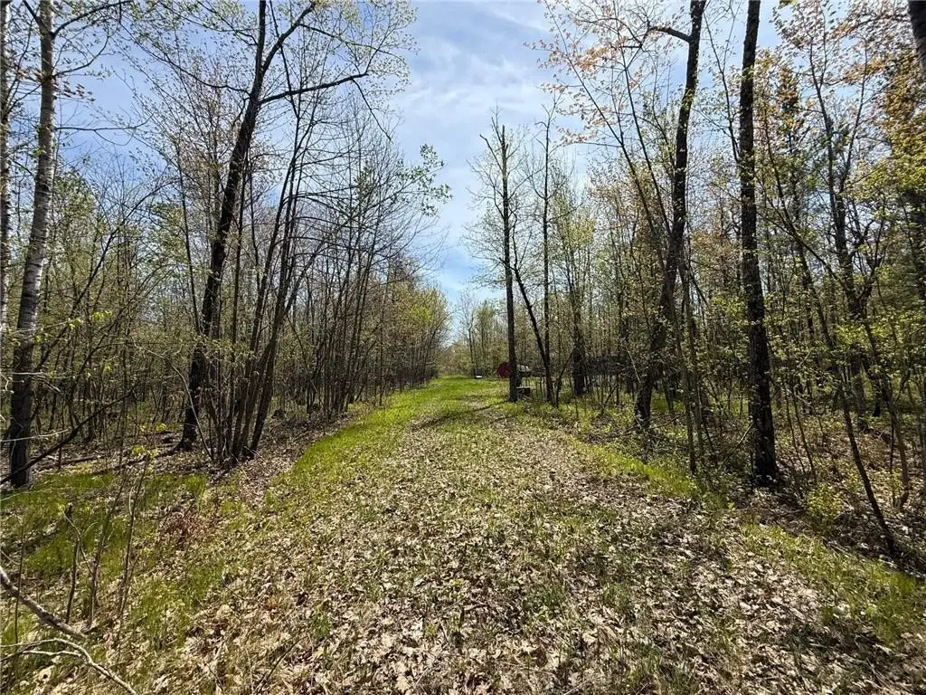 Picture 28