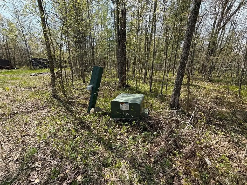 Picture 27