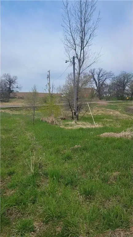 Picture 6