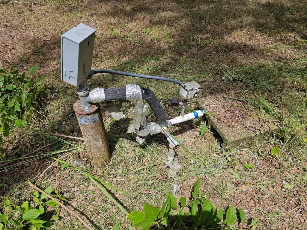 Picture 5