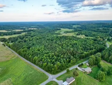 Haleyville Land For Sale