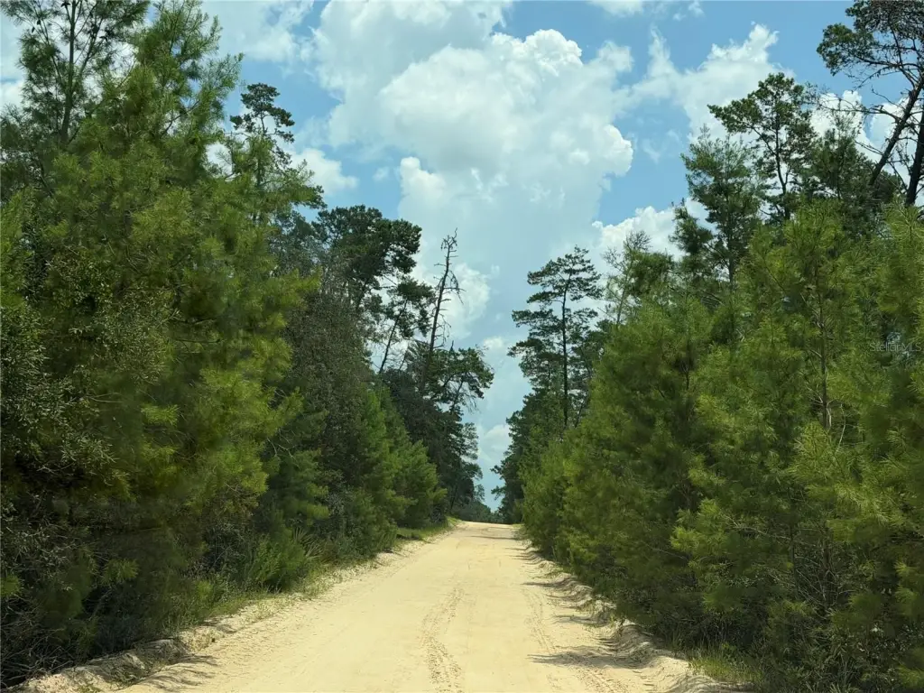 Picture 16