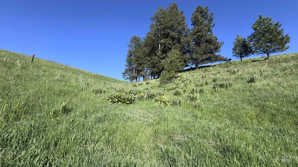 Picture 41