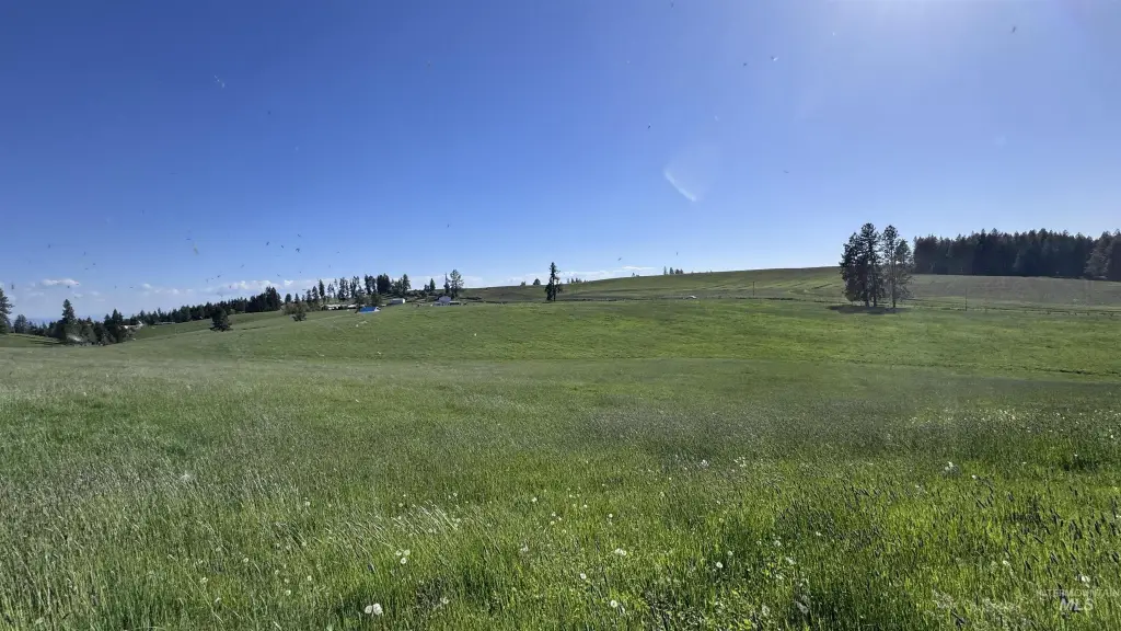 Picture 42