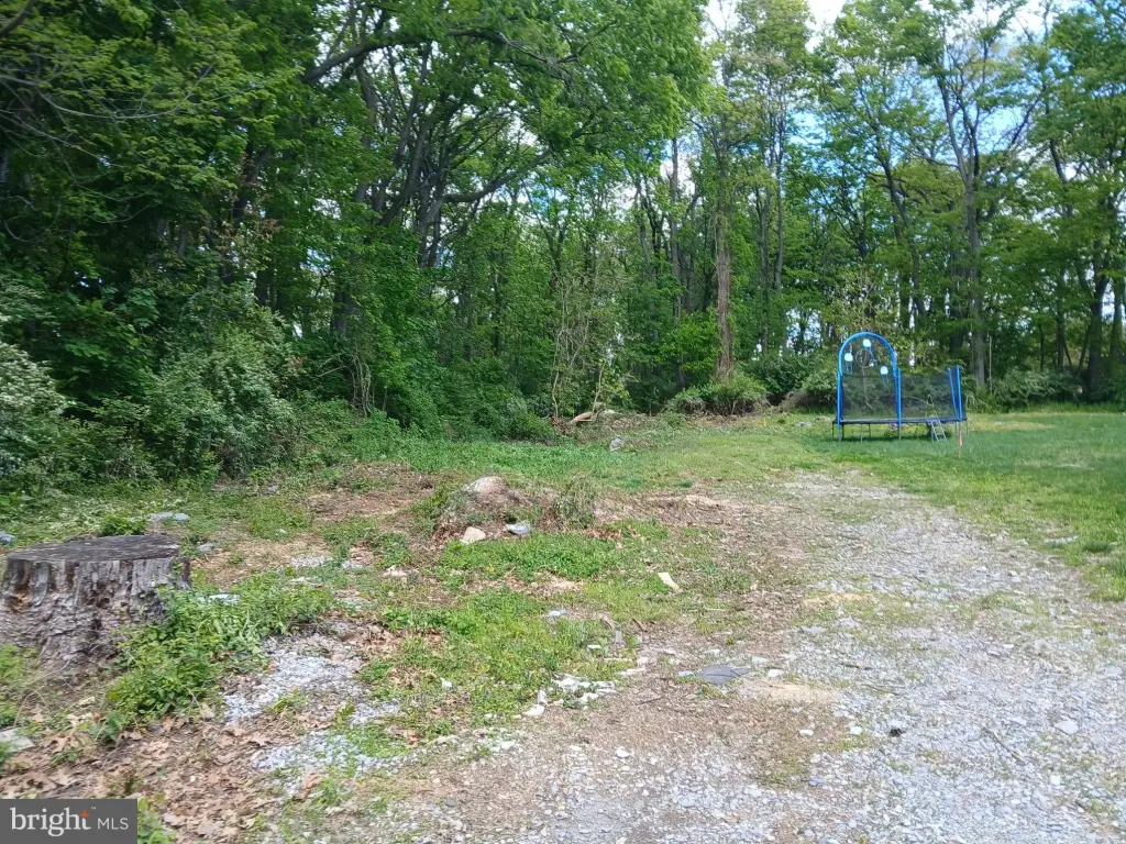 Picture 4