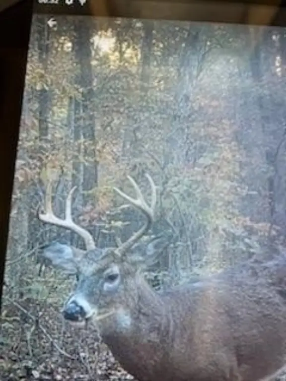 Picture 27