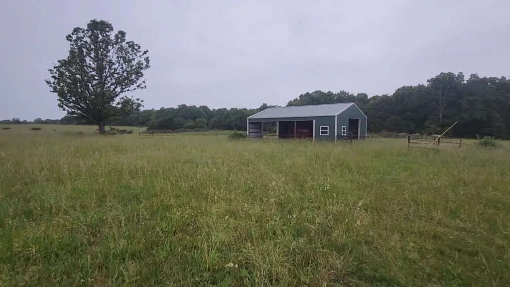 Picture 5