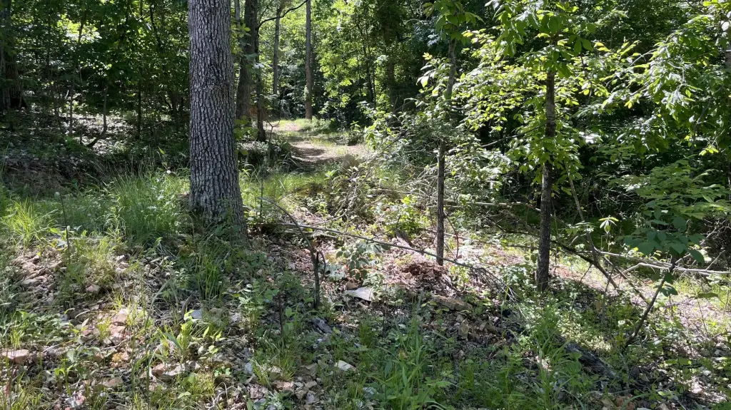 Picture 17