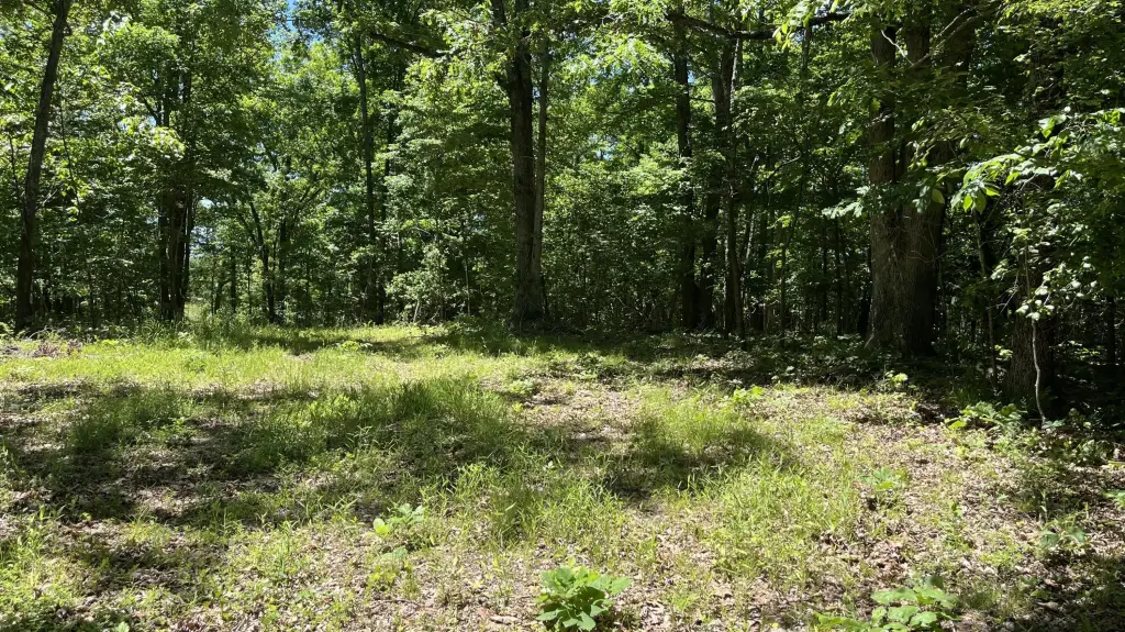Picture 11