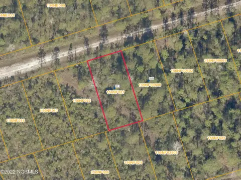 Wooded Lot in Boiling Spring Lakes