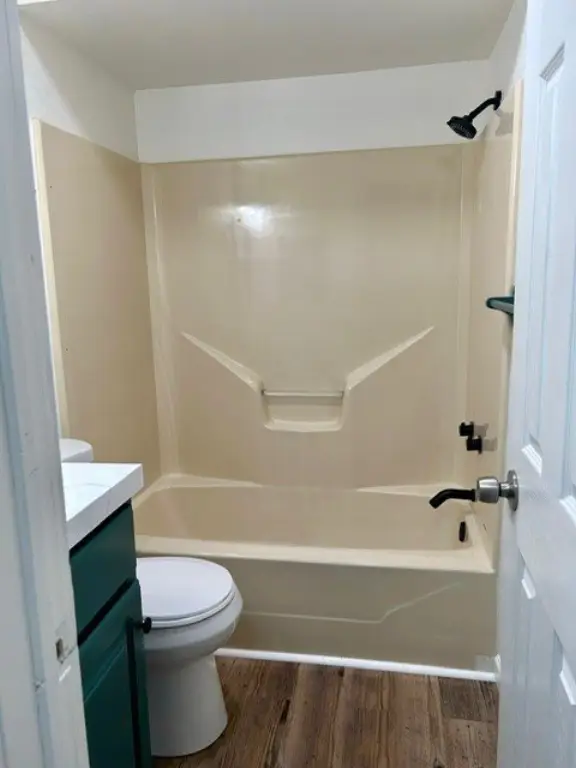 Picture 8