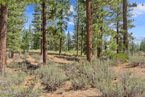 1.46-Acre Parcel in Clear Creek