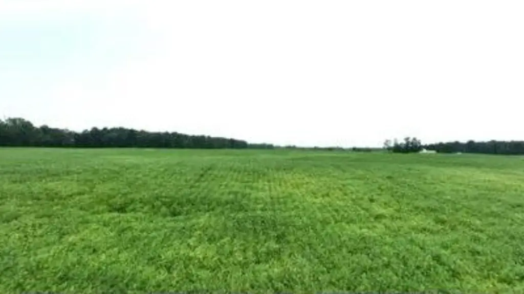 Picture 13