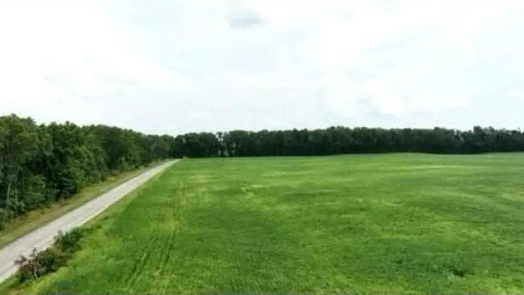 Picture 12