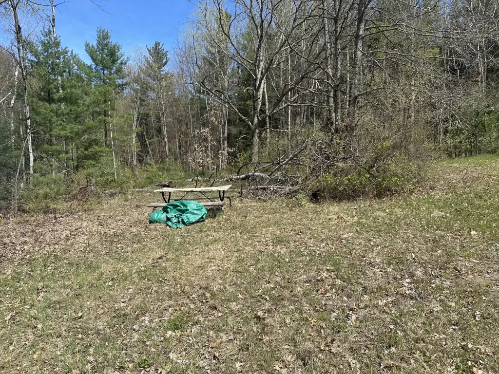 Picture 10