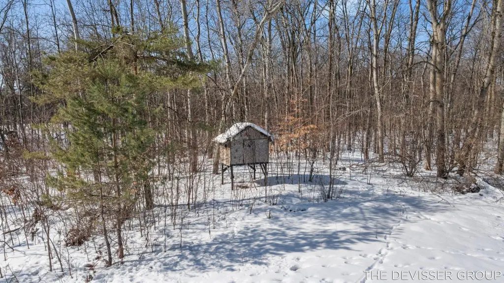 Picture 19