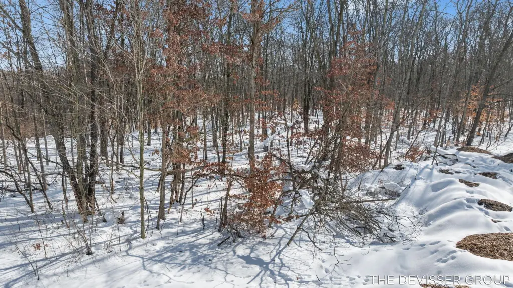 Picture 23