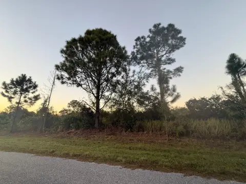 Residential Lot in Sebring
