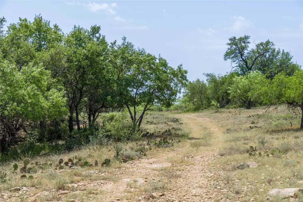 Picture 26