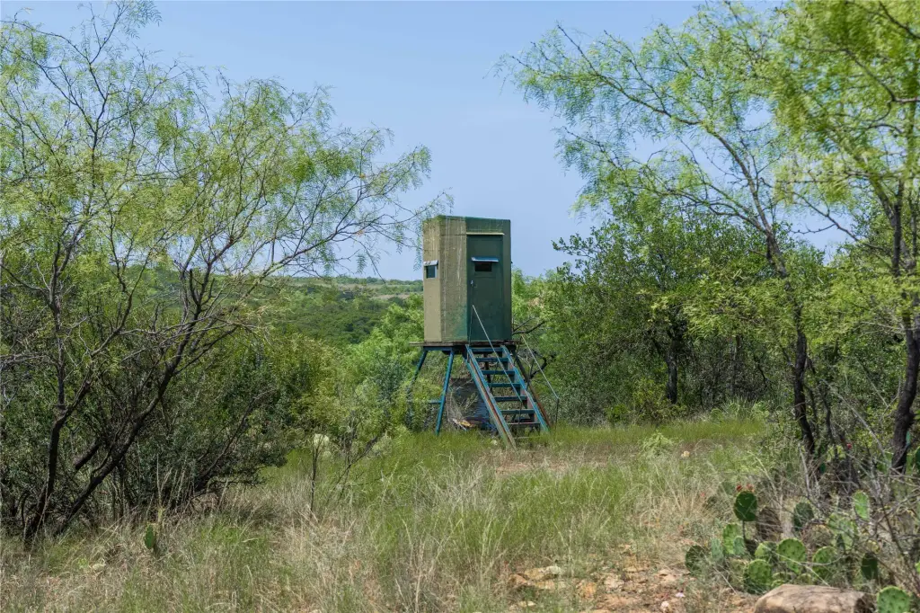 Picture 32