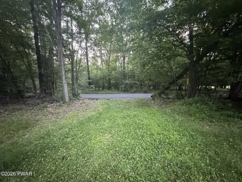 Picture 3