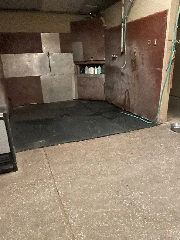 Picture 17