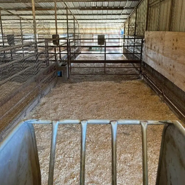 Picture 11