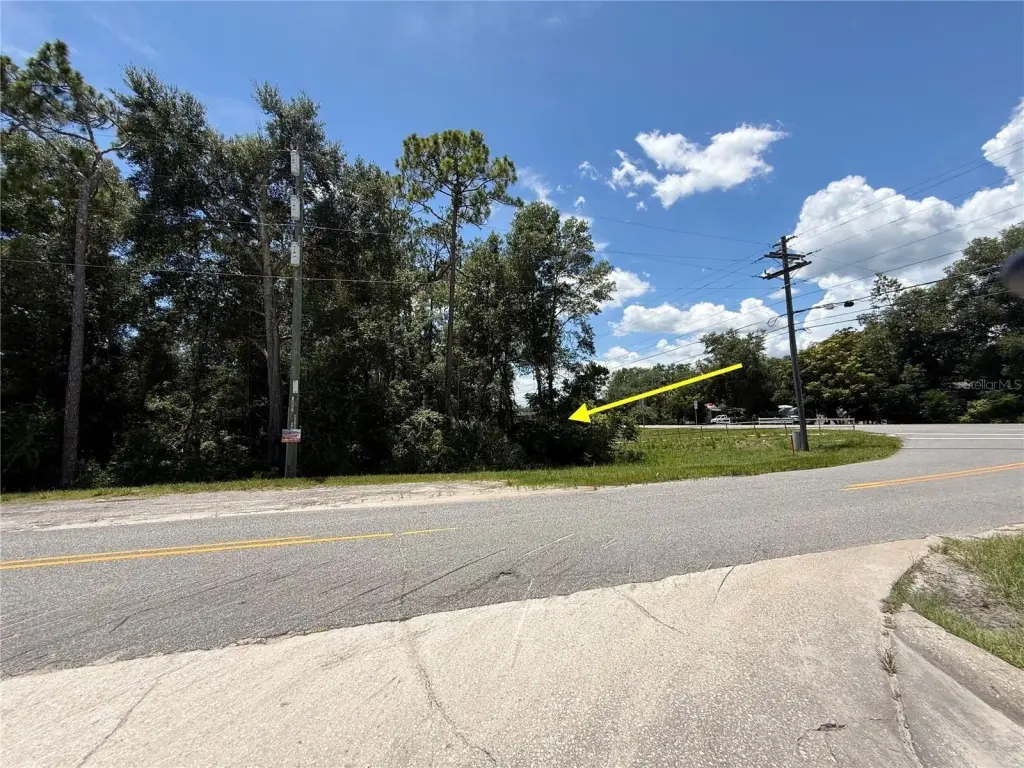Picture 8