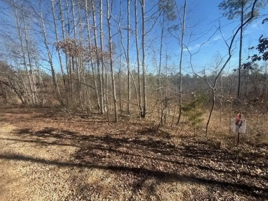 Picture 13